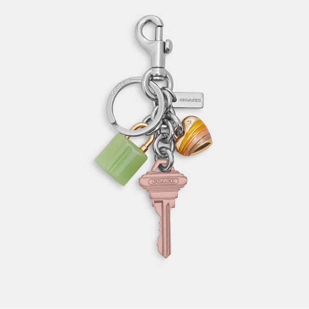 Coach Key Cluster Bag Charm
,nwt!